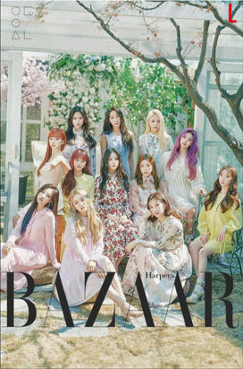 harper bazzar